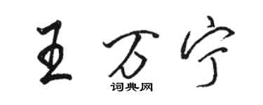 駱恆光王萬寧行書個性簽名怎么寫