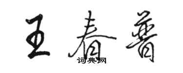 駱恆光王春普行書個性簽名怎么寫