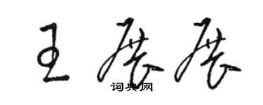 駱恆光王展展草書個性簽名怎么寫