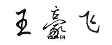 駱恆光王豪飛行書個性簽名怎么寫