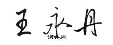 駱恆光王永丹行書個性簽名怎么寫