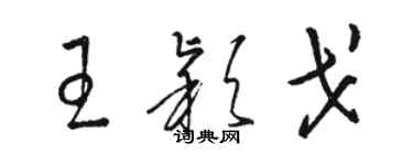 駱恆光王穎戈草書個性簽名怎么寫