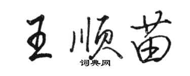 駱恆光王順苗行書個性簽名怎么寫