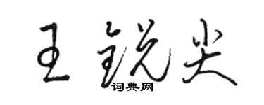 駱恆光王銳尖草書個性簽名怎么寫