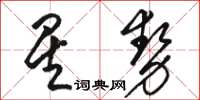 駱恆光星勢草書怎么寫