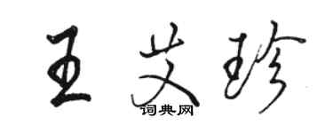 駱恆光王艾珍行書個性簽名怎么寫