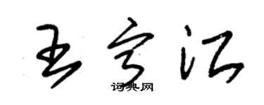 朱錫榮王寧江草書個性簽名怎么寫