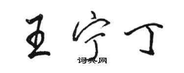 駱恆光王寧丁行書個性簽名怎么寫