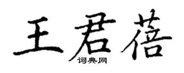 丁謙王君蓓楷書個性簽名怎么寫
