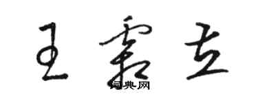 駱恆光王霜立草書個性簽名怎么寫