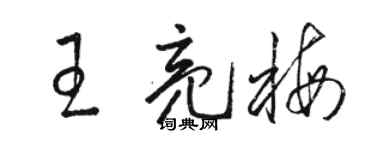 駱恆光王亮梅草書個性簽名怎么寫