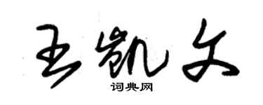 朱錫榮王凱文草書個性簽名怎么寫