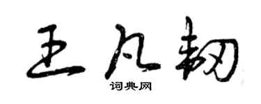 曾慶福王凡韌草書個性簽名怎么寫