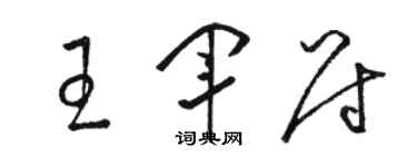 駱恆光王軍尉草書個性簽名怎么寫
