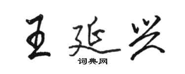 駱恆光王延興行書個性簽名怎么寫
