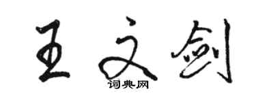 駱恆光王文劍行書個性簽名怎么寫