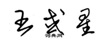 朱錫榮王或星草書個性簽名怎么寫