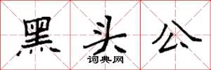 袁強黑頭公楷書怎么寫