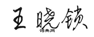 駱恆光王曉鎖行書個性簽名怎么寫