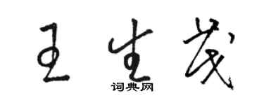 駱恆光王生茂草書個性簽名怎么寫