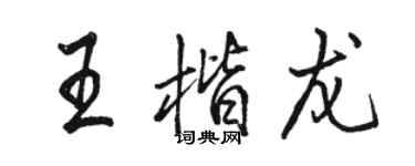 駱恆光王楷龍行書個性簽名怎么寫