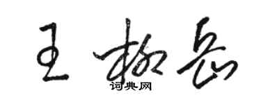 駱恆光王柳岳草書個性簽名怎么寫