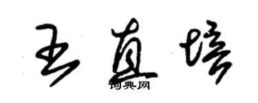 朱錫榮王直培草書個性簽名怎么寫