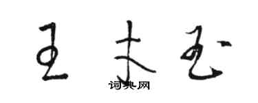 駱恆光王才玉草書個性簽名怎么寫