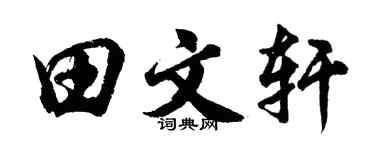 胡問遂田文軒行書個性簽名怎么寫