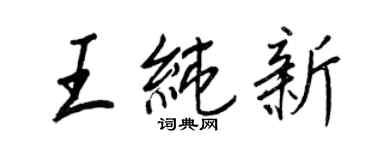 王正良王純新行書個性簽名怎么寫