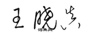 駱恆光王曉真草書個性簽名怎么寫