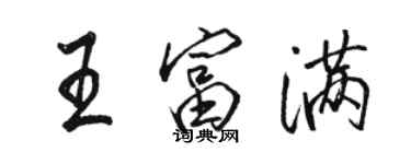 駱恆光王富滿行書個性簽名怎么寫