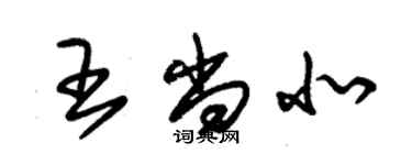 朱錫榮王尚北草書個性簽名怎么寫