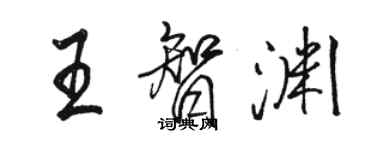 駱恆光王智淵行書個性簽名怎么寫