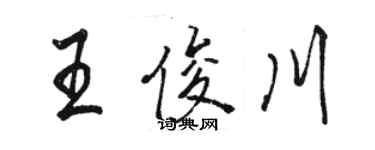 駱恆光王俊川行書個性簽名怎么寫