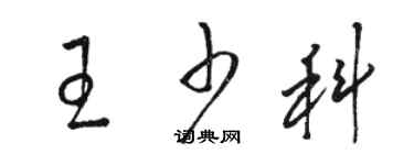 駱恆光王少科草書個性簽名怎么寫