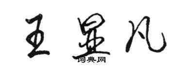 駱恆光王顯凡行書個性簽名怎么寫