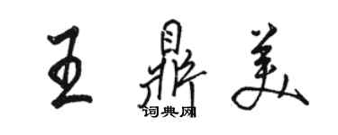 駱恆光王鼎美行書個性簽名怎么寫