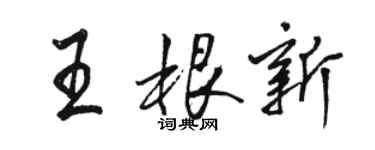 駱恆光王根新行書個性簽名怎么寫
