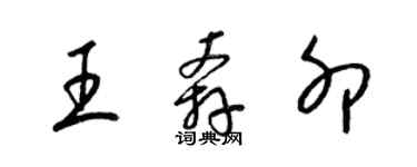 梁錦英王奔卯草書個性簽名怎么寫