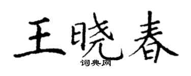 丁謙王曉春楷書個性簽名怎么寫