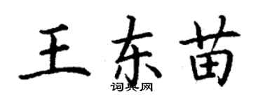 丁謙王東苗楷書個性簽名怎么寫