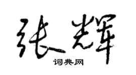 曾慶福張輝行書個性簽名怎么寫