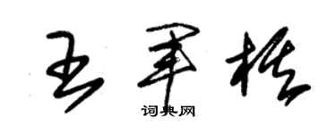 朱錫榮王軍棋草書個性簽名怎么寫