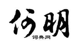 胡問遂何明行書個性簽名怎么寫