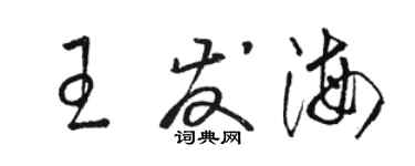 駱恆光王發海草書個性簽名怎么寫