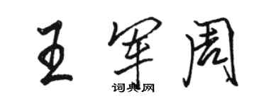 駱恆光王軍周行書個性簽名怎么寫