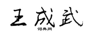 曾慶福王成武行書個性簽名怎么寫