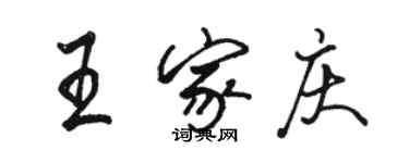 駱恆光王家慶行書個性簽名怎么寫