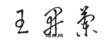 駱恆光王開蘭草書個性簽名怎么寫